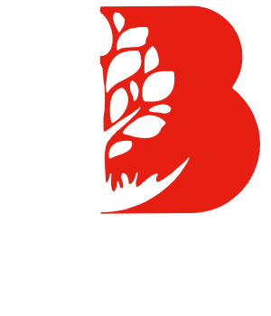 logo Bonneau Paysage Paysagiste Royan entretien et création Jardins Royan 17